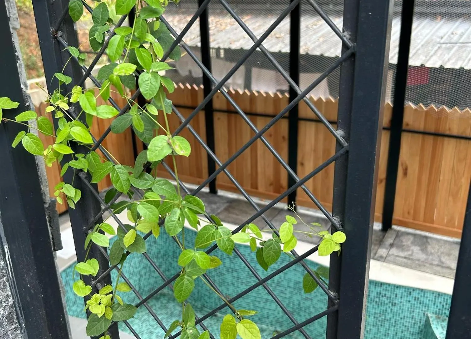 Kv By Halcyon Traveltech Apartment Anachal Homestay